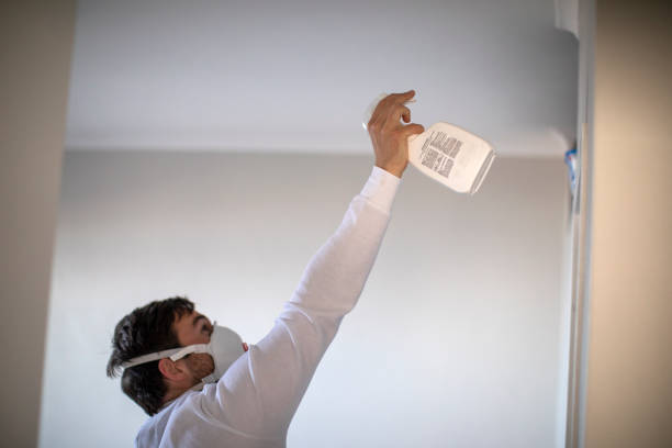 Best Insurance-Related Mold Remediation in Oxon Hill, MD