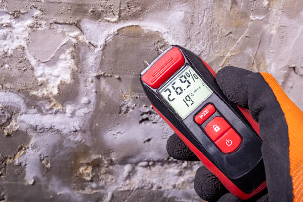 Best Mold Testing and Inspection Services in Oxon Hill, MD