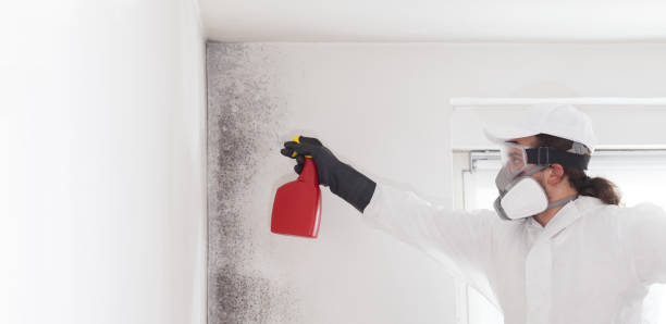 Best Crawl Space Mold Remediation in Oxon Hill, MD