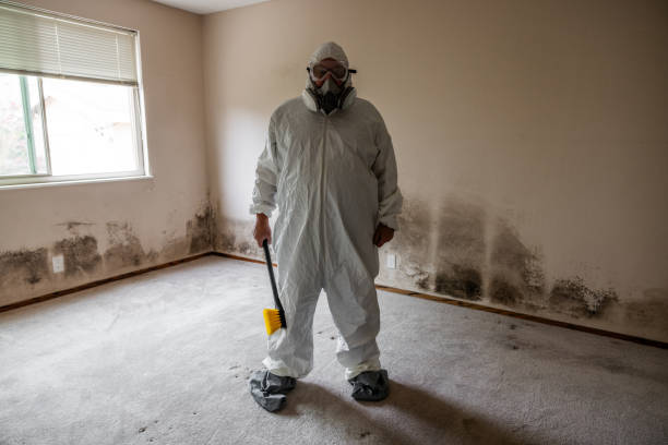 Best Residential Mold Remediation in Oxon Hill, MD